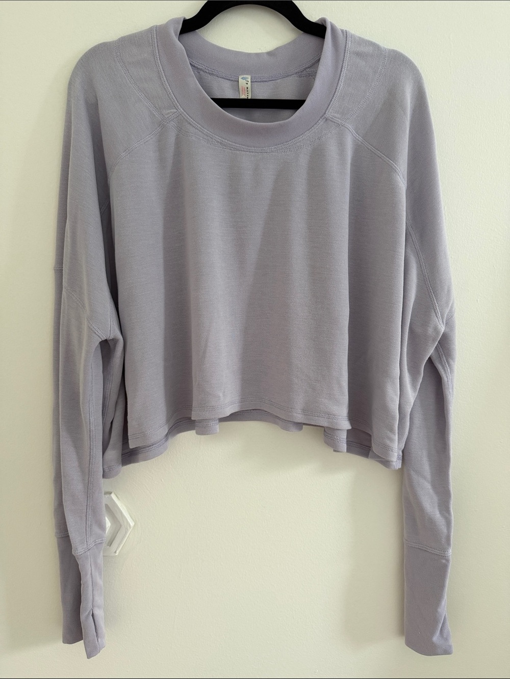 FP Movement by Free People Lavender Cropped Oversized Long-Sleeve Top - Soft